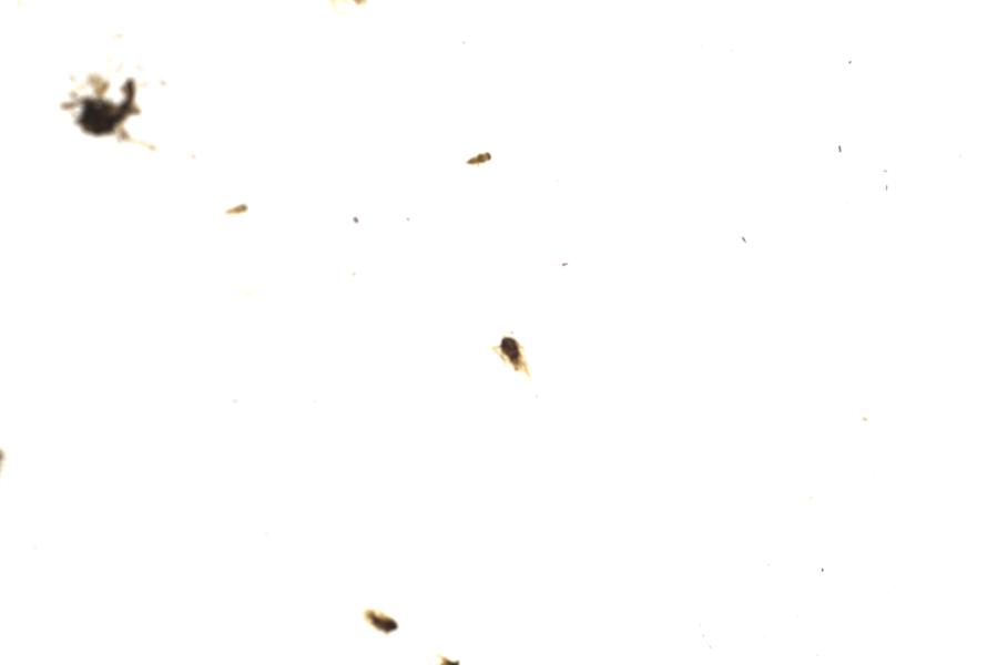 Image 47